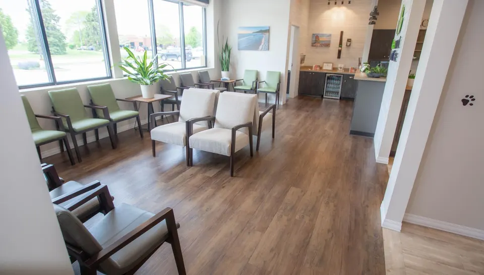 Bright waiting room with windows and seating at Greenwood Dental Care in Waukegan